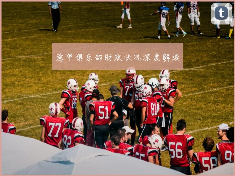 意甲俱乐部财政状况深度解读